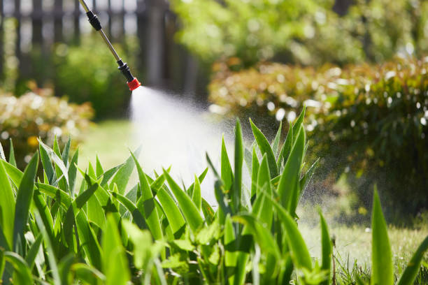 24/7 Emergency Fumigation Services experts in Menard, TX